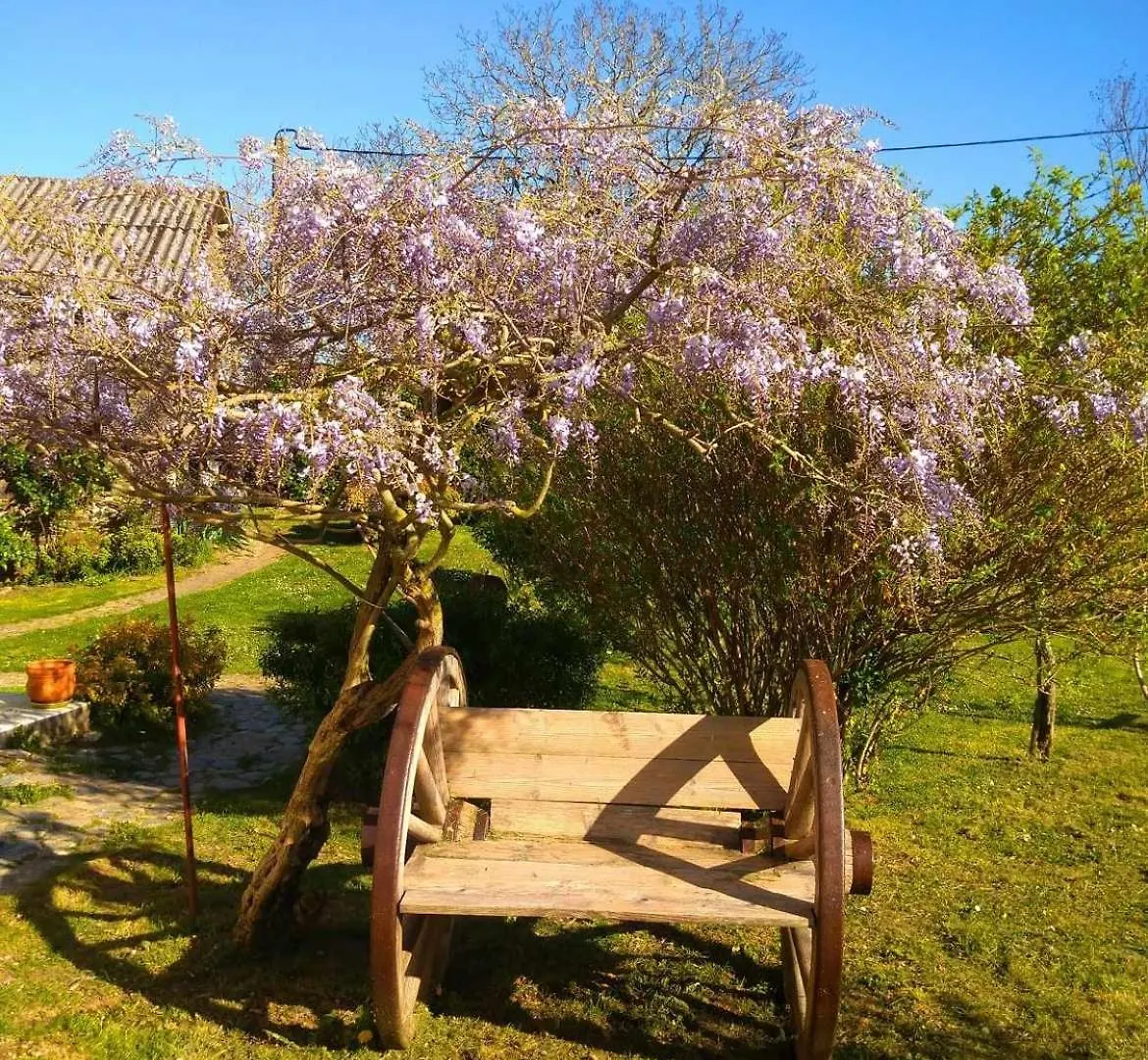La Grange Du Poussie Villa La Salvetat-Peyrales