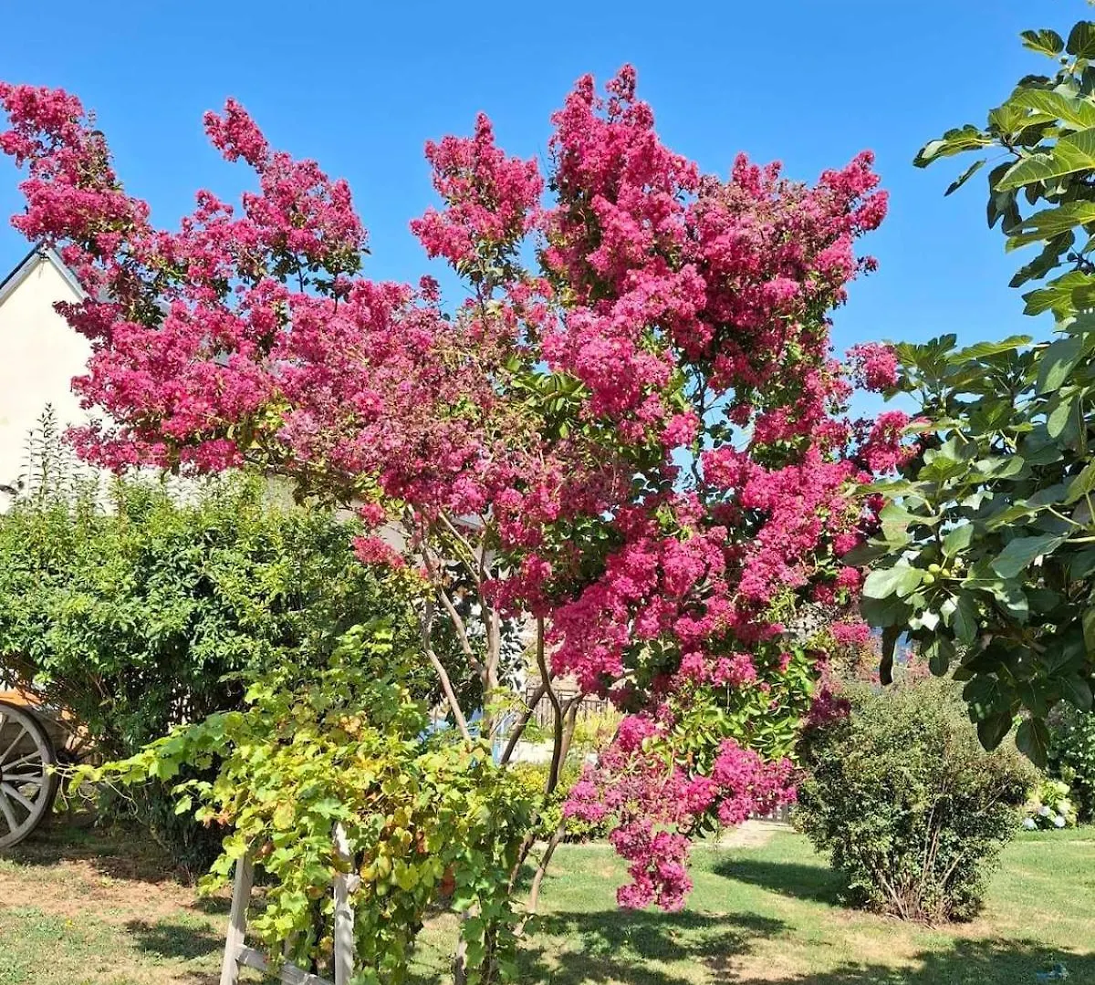 La Grange Du Poussie Villa La Salvetat-Peyrales Frankrijk